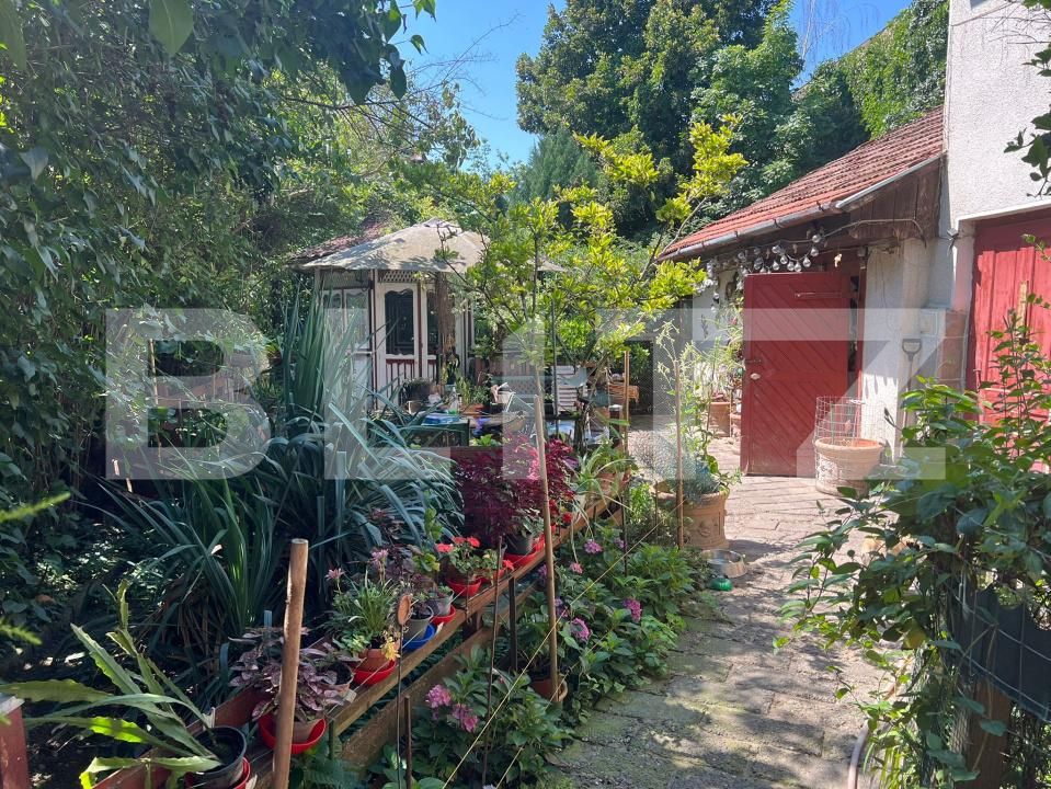 Casa de vânzare 4 camere Ultracentral - 174975CV | BLITZ Târgu Mureș | Poza5