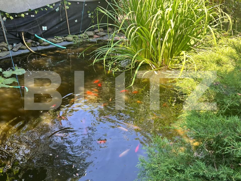 Casa de vânzare 4 camere Ultracentral - 174975CV | BLITZ Târgu Mureș | Poza9