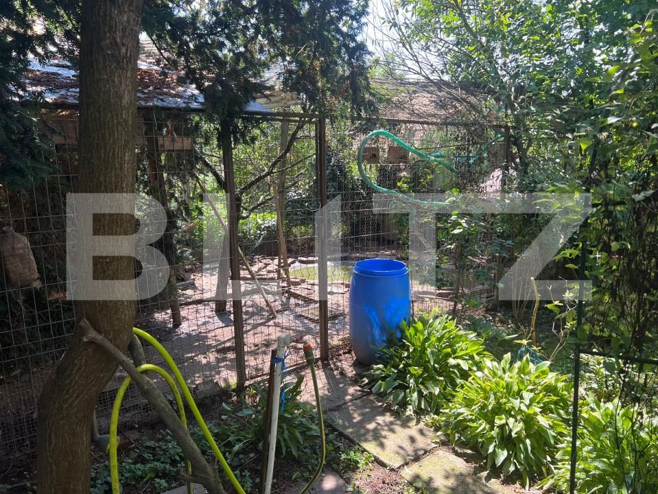 Casa de vânzare 4 camere Ultracentral - 174975CV | BLITZ Târgu Mureș | Poza8