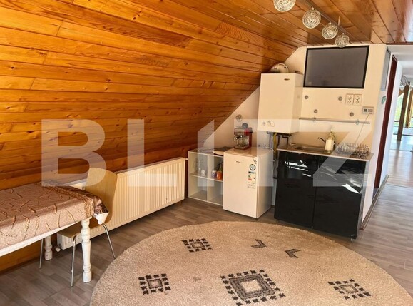 Casa de închiriat 3 camere Budiului - 174985CI | BLITZ Târgu Mureș | Poza6