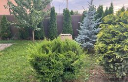 Casă Sângeorgiu de Mureș – 500 mp teren, finisaje premium, zonă liniștită