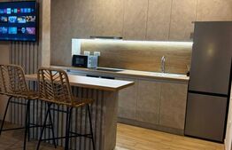 Raritate pe piață: 2 apartamente de lux gata de Airbnb cu terase si jacuzzi 