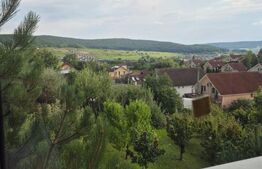 Vila de vanzare in Livezeni cu privelste deosebita, 970mp teren 