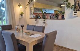 Vila de vanzare in Livezeni cu privelste deosebita, 970mp teren 