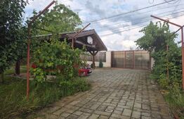 Vila de vanzare in Livezeni cu privelste deosebita, 970mp teren 