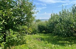 Teren intravilan 1418 mp Sâncraiu de Mureș – panoramă oraș, utilități