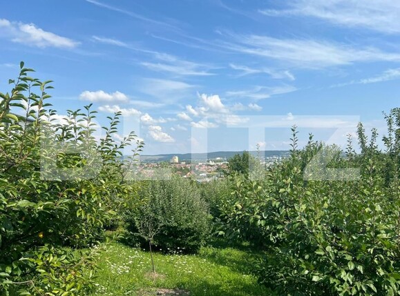 Teren de vânzare Sâncraiu de Mureș - 175170TV | BLITZ Târgu Mureș | Poza2