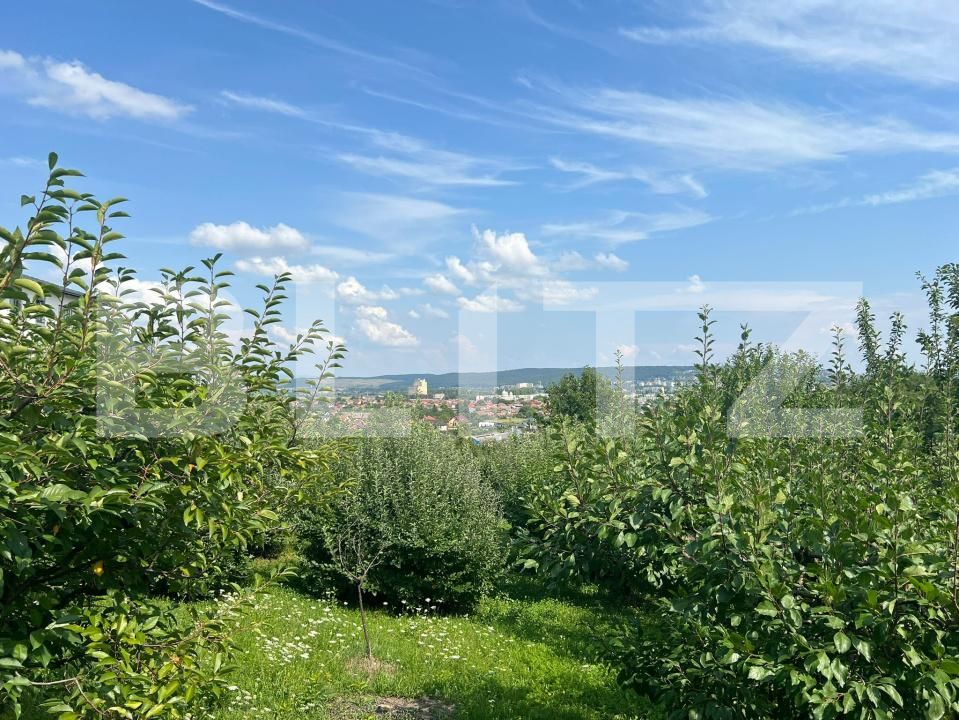 Teren de vânzare Sâncraiu de Mureș - 175170TV | BLITZ Târgu Mureș | Poza2