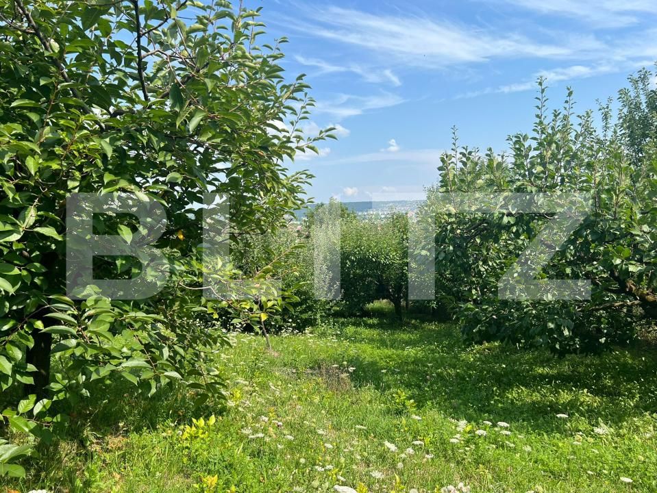 Teren de vânzare Sâncraiu de Mureș - 175170TV | BLITZ Târgu Mureș | Poza1