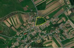 Teren intravilan 18.449 mp – Paingeni | 7,5 €/mp | Vedere panoramică