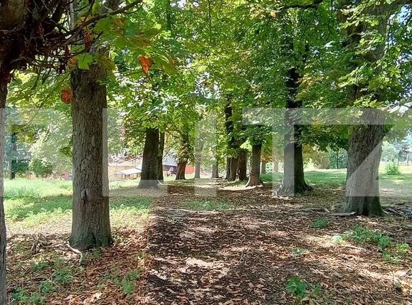 Teren de vânzare Paingeni - 175249TV | BLITZ Târgu Mureș | Poza1