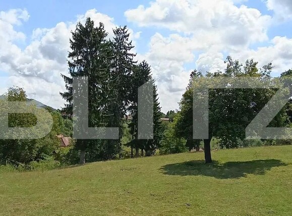 Teren de vânzare Paingeni - 175249TV | BLITZ Târgu Mureș | Poza4