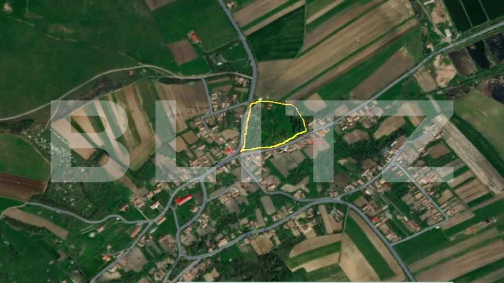 Teren de vânzare Paingeni - 175249TV | BLITZ Târgu Mureș | Poza6