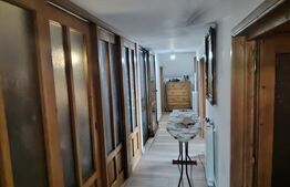 Casă cu mobilier premium și grădină spectaculoasă in Tarnaveni