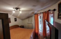 Casă cu mobilier premium și grădină spectaculoasă in Tarnaveni