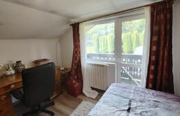 Casă cu mobilier premium și grădină spectaculoasă in Tarnaveni