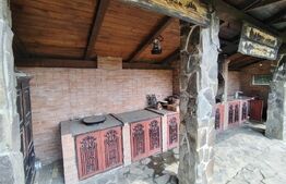 Casă cu mobilier premium și grădină spectaculoasă in Tarnaveni