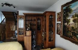 Casă cu mobilier premium și grădină spectaculoasă in Tarnaveni