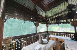 Casă cu mobilier premium și grădină spectaculoasă in Tarnaveni