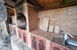 Casă cu mobilier premium și grădină spectaculoasă in Tarnaveni