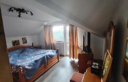 Casă cu mobilier premium și grădină spectaculoasă in Tarnaveni