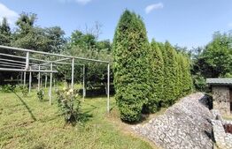 Casă cu mobilier premium și grădină spectaculoasă in Tarnaveni