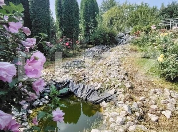 Casa de vânzare 5 camere Tarnaveni - 175273CV | BLITZ Târgu Mureș | Poza3