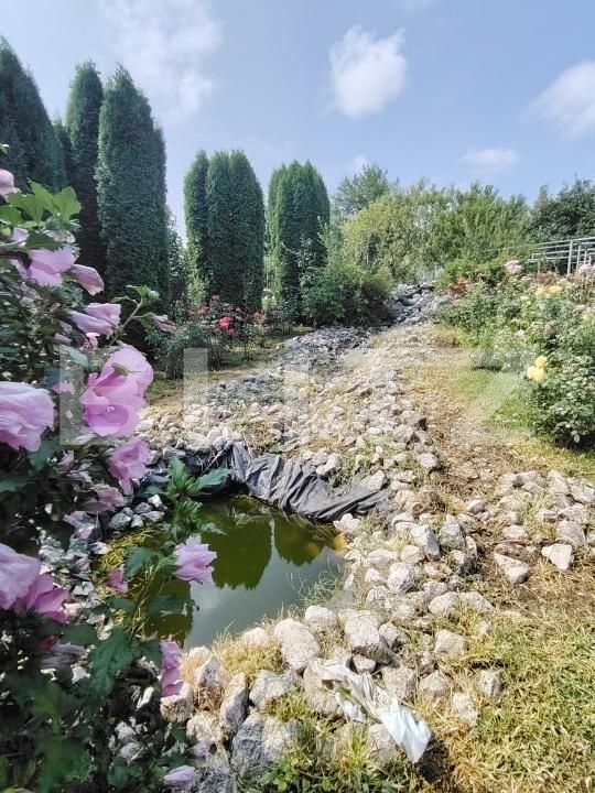 Casa de vânzare 5 camere Tarnaveni - 175273CV | BLITZ Târgu Mureș | Poza3