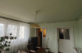 Casă solidă cu pod, foișor și 2 garaje in Tarnaveni