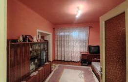 Casă solidă cu pod, foișor și 2 garaje in Tarnaveni