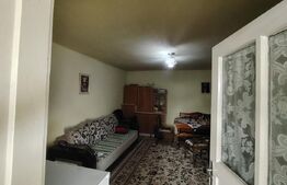 Casă solidă cu pod, foișor și 2 garaje in Tarnaveni