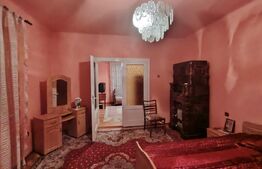 Casă solidă cu pod, foișor și 2 garaje in Tarnaveni