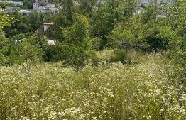 Casă Str. Negoiului, 2.249 mp teren, zonă liniștită, vedere panoramică