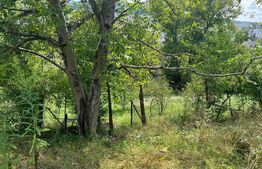 Casă Str. Negoiului, 2.249 mp teren, zonă liniștită, vedere panoramică