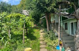 Casă Str. Negoiului, 2.249 mp teren, zonă liniștită, vedere panoramică