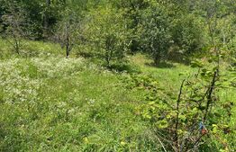 Casă Str. Negoiului, 2.249 mp teren, zonă liniștită, vedere panoramică