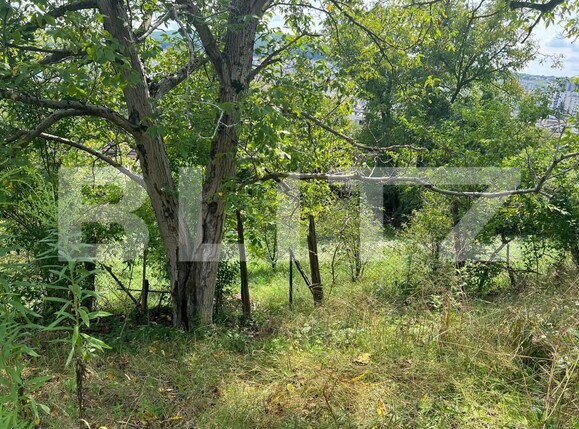 Casa de vânzare 4 camere Tudor - 175354CV | BLITZ Târgu Mureș | Poza5