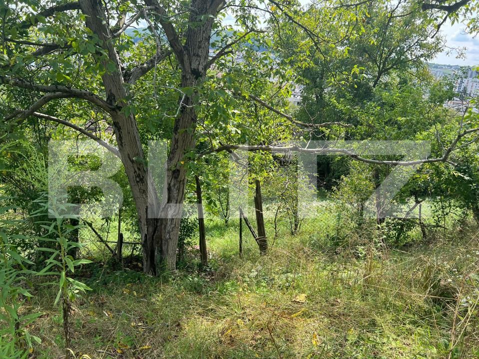 Casa de vânzare 4 camere Tudor - 175354CV | BLITZ Târgu Mureș | Poza5