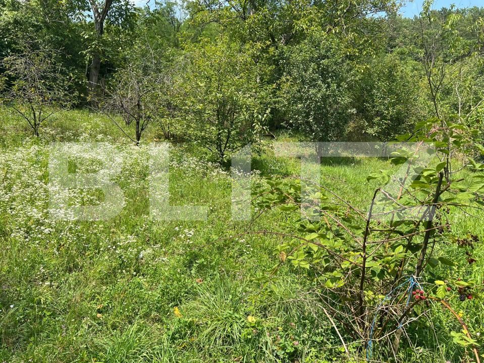 Casa de vânzare 4 camere Tudor - 175354CV | BLITZ Târgu Mureș | Poza2