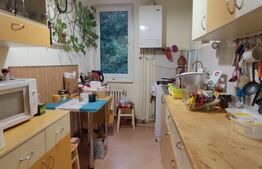 Apartament spațios cu 3 camere, Cornisa 