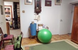 Apartament spațios cu 3 camere, Cornisa 