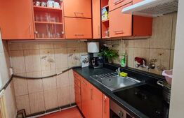 Apartament 2 camere renovat în Mureșeni
