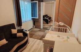 Apartament 2 camere, 38 mp, renovat, mobilat partial, parter, Mureșeni