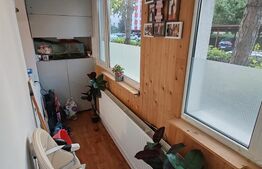 Apartament 2 camere renovat în Mureșeni