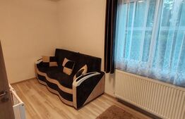 Apartament 2 camere renovat în Mureșeni