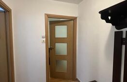 Apartament 2 camere, zona Dâmbu Pietros 