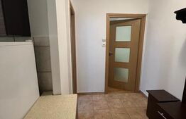 Apartament 2 camere, zona Dâmbu Pietros 
