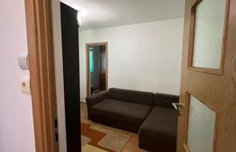 Apartament 2 camere, zona Dâmbu Pietros 
