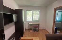 Apartament 2 camere, zona Dâmbu Pietros 