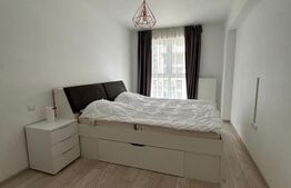 Apartament 2 camere de inchiriat, zona Maurer